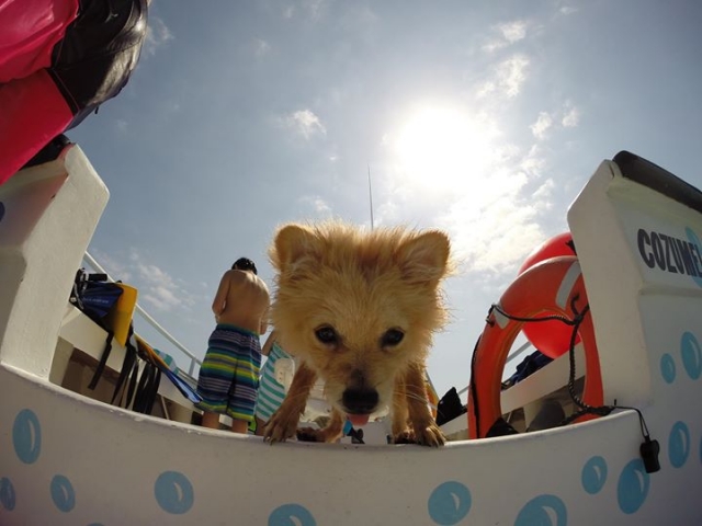 ellos tambien son bienvenidos